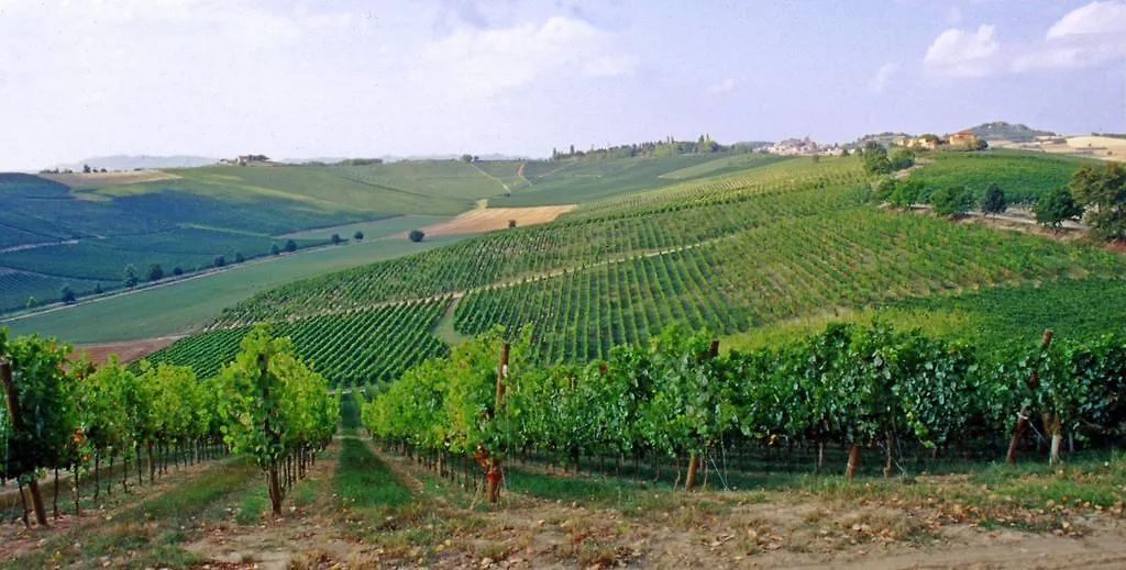 Agriturismo Fattoio Alle Ripe - Frantoio SantʼEllero 0*,  Italien