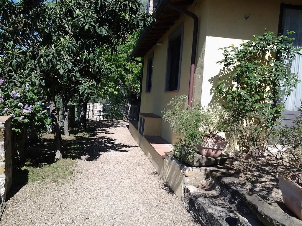 Agriturismo Fattoio Alle Ripe - Frantoio SantʼEllero